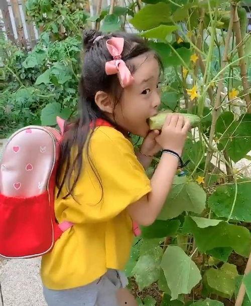 娱乐吃瓜少女妈妈是谁呀,娱乐吃瓜少女妈妈背后的神秘身份